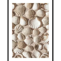 Poster Gallerix Coastal Seashell Medley