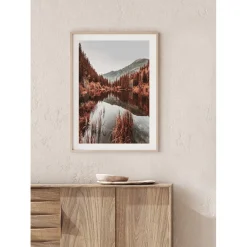 Poster Gallerix Colorado Forest
