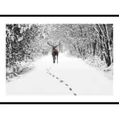 Poster Gallerix Deer Forest Walk