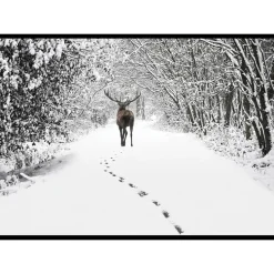 Poster Gallerix Deer Forest Walk