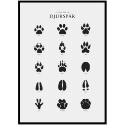 Poster Gallerix Djurspår