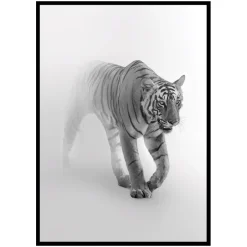 Poster Gallerix Faded Tiger