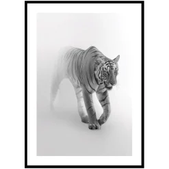 Poster Gallerix Faded Tiger