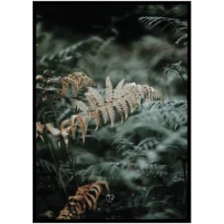 Poster Gallerix Fern No2