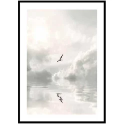 Poster Gallerix Flying Bird