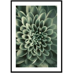 Poster Gallerix Green Petals