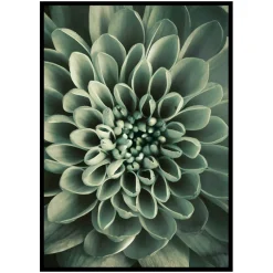 Poster Gallerix Green Petals