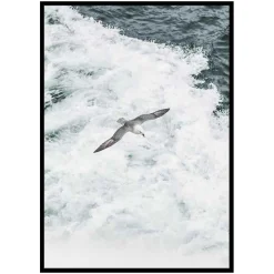 Poster Gallerix Grey Seagull