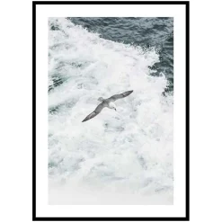 Poster Gallerix Grey Seagull