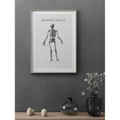 Poster Gallerix Kroppens Skelett