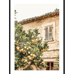 Poster Gallerix Lemon Grove Serenade