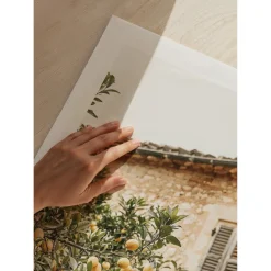Poster Gallerix Lemon Grove Serenade