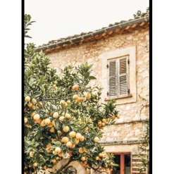 Poster Gallerix Lemon Grove Serenade