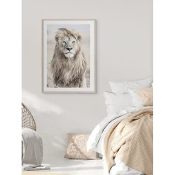 Poster Gallerix Majestic Lion Color