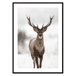 Poster Gallerix Majestic Red Deer