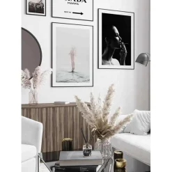 Poster Gallerix Naked On Water