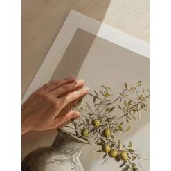Poster Gallerix Olive Branch Still Life