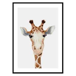 Poster Gallerix Peekaboo Giraffe
