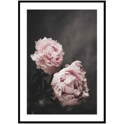 Poster Gallerix Pink peonies No2
