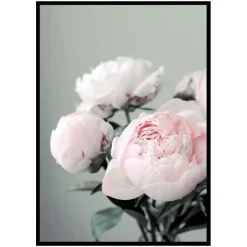 Poster Gallerix Pink peonies No1