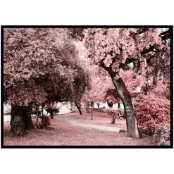 Poster Gallerix Pink Trees No1
