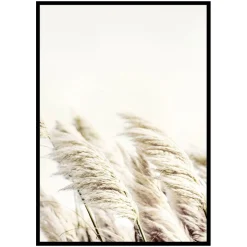 Poster Gallerix Reed In Wind