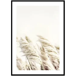 Poster Gallerix Reed In Wind