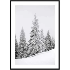 Poster Gallerix Spruce In Winter