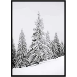 Poster Gallerix Spruce In Winter