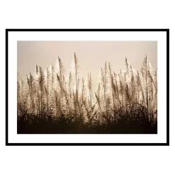 Poster Gallerix Sugar Cane