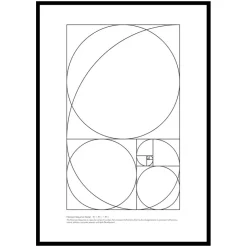 Poster Gallerix The Fibonacci Sequence