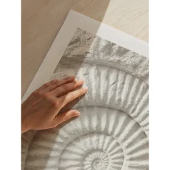 Poster Gallerix The Nautilus Carving