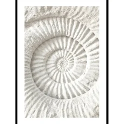 Poster Gallerix The Nautilus Carving