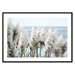 Poster Gallerix Toitoi Grass