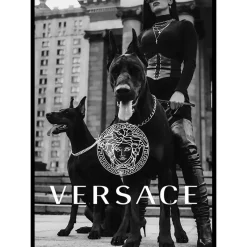 Poster Gallerix Versace Fashion