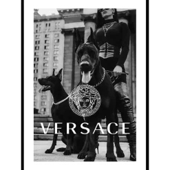 Poster Gallerix Versace Fashion