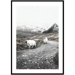 Poster Gallerix Winter Goats