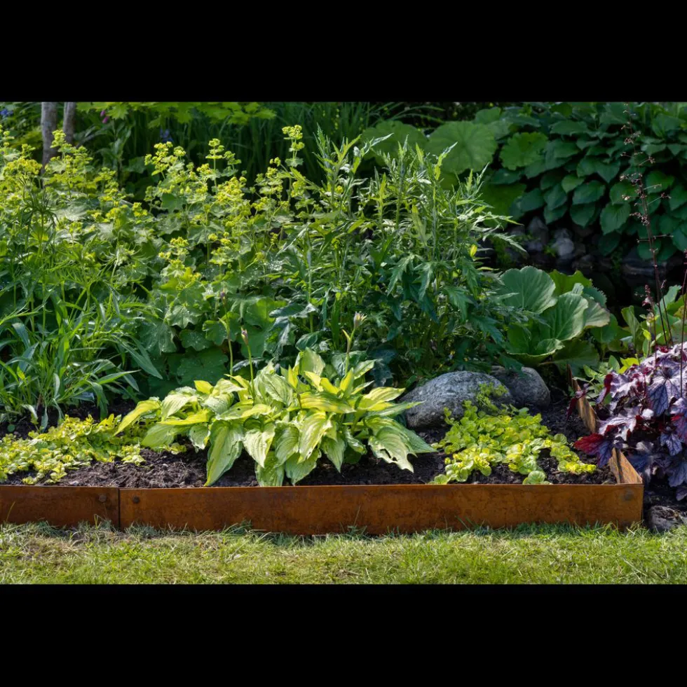 Rabattkant Skotte Garden Corten Odlingskant Corten, 18x100 cm