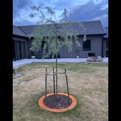 Rabattkant Skotte Garden Unik Rund 2-packObehandlat stål