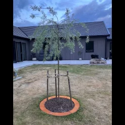 Rabattkant Skotte Garden Unik Rund 2-packObehandlat stål