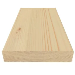 Regel 45x220 mm C24