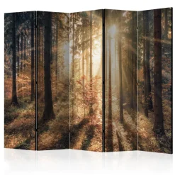 Rumsavdelare Arkiio Autumnal Forest II 225x172 cm