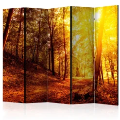 Rumsavdelare Arkiio Autumn Walk II 225x172 cm
