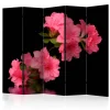 Rumsavdelare Arkiio Azalea in Black II 225x172 cm