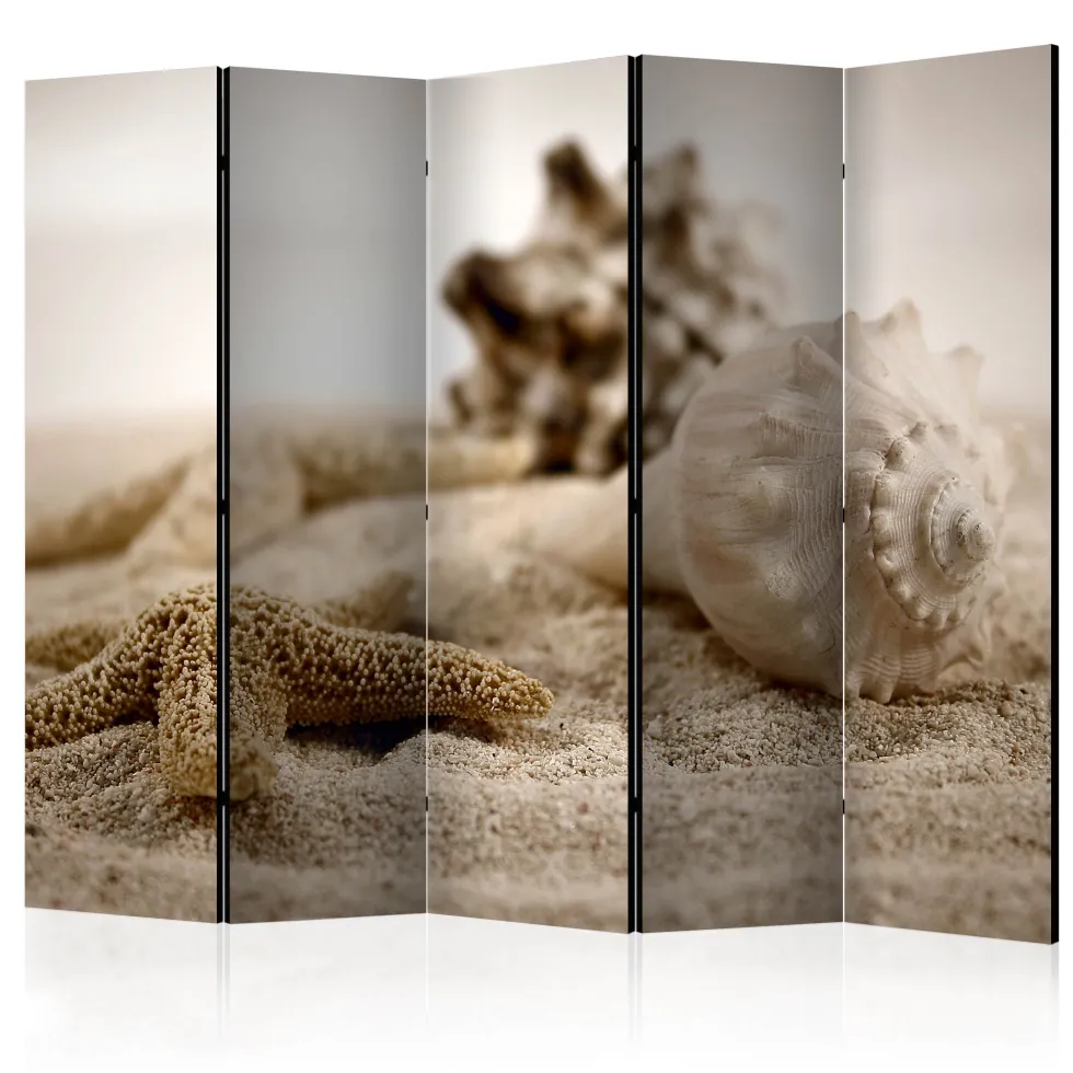 Rumsavdelare Arkiio Beach and Shell II 225x172 cm