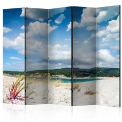 Rumsavdelare Arkiio Beach on the Costa da Morte II 225x172 cm