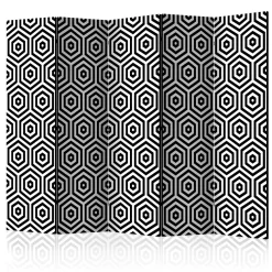 Rumsavdelare Arkiio Black and White Hypnosis II 225x172 cm