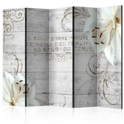 Rumsavdelare Arkiio Bonne Nouvelle II 225x172 cm