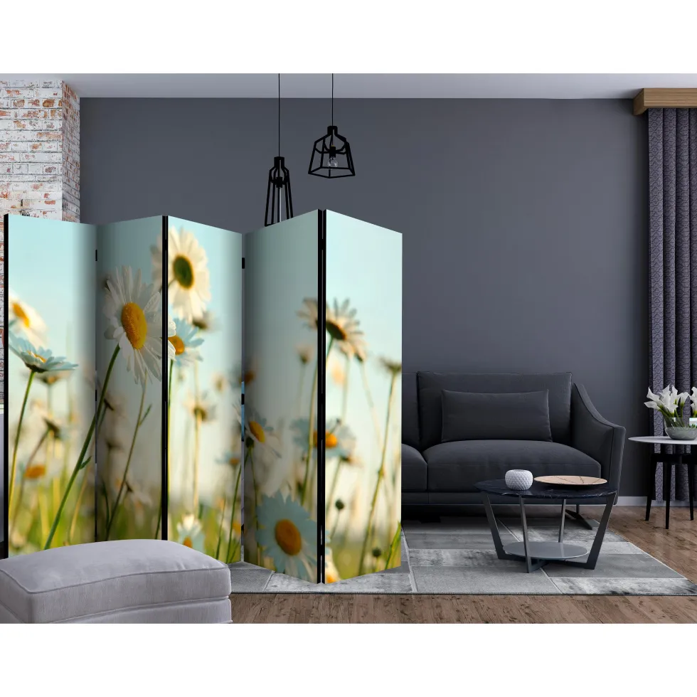 Rumsavdelare Arkiio Daisies Spring Meadow II Prästkragar 225x172 cm