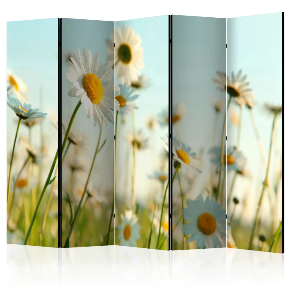 Rumsavdelare Arkiio Daisies Spring Meadow II Prästkragar 225x172 cm